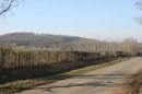 entre St Parize et la Chaume